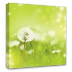 Картина Симфония Одуванчик 40х40 см