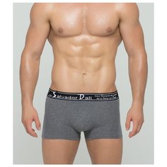 Salvador Dali Трусы боксеры однотонные, размер XXL, серый