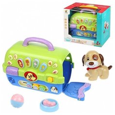 Развивающая игрушка Chuangfa toys Собачка с домиком (6623) зеленый/синий/бежевый