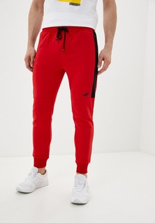 Брюки спортивные 4F