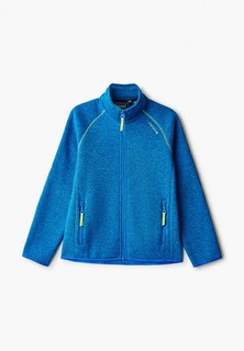 Олимпийка Icepeak