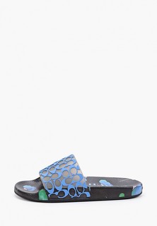Сланцы Coach