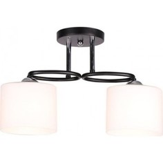 Люстра потолочная Imex MD.0617-2-S BK