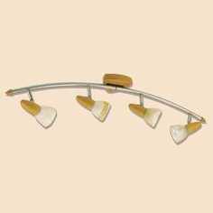 Спот Citilux CL505541