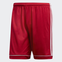 Шорты Squadra 17 adidas Performance