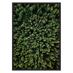 Постер в рамке Зеленый лес с высоты 50 х 70 см Дом Корлеоне