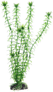 Растение для аквариума Barbus, пластик, Элодея зеленая, Plant 004, 30 см