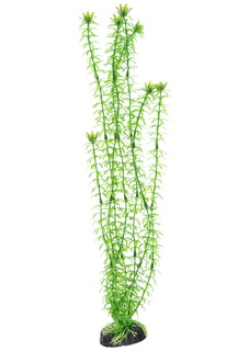 Растение для аквариума Barbus, пластик, Элодея зеленая, Plant 004, 50 см
