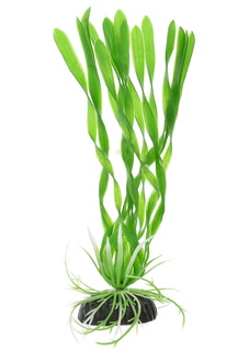 Растение для аквариума Barbus, пластик, Валиснерия спиральная зеленая, Plant 014, 10 см