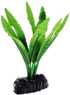 Растение для аквариума Barbus, шелк, Кринум Plant 038, 10 см