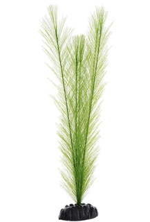 Растение для аквариума Barbus, шелк, Амбулия Plant 034, 50 см