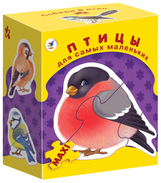 Дрофа-медиа ДСМ Птицы