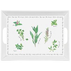 Поднос "Herbarium" с ручками Easy Life