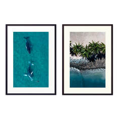 Набор постеров Коллаж Природа №95 70х110 см Дом Корлеоне