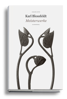 Книга Karl Blossfeldt: Masterworks Thames & Hudson