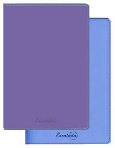 Записная книга "Копибук" 2 в 1. ГОЛУБО-СИРЕНЕВЫЙ Феникс