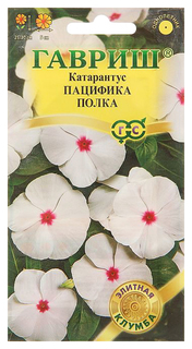 Семена Катарантус Пацифика Полка, 7 шт, Гавриш