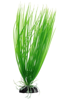 Растение для аквариума Barbus, пластик, Акорус зеленый, Plant 007, 30 см