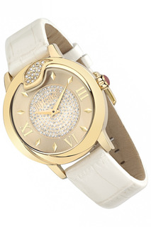 Watch Just Cavalli