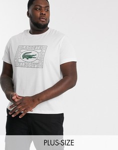Белая хлопковая футболка с логотипом Lacoste-Белый