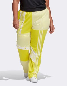 Желтые спортивные брюки adidas Originals Plus x Danielle Cathari Plus-Желтый