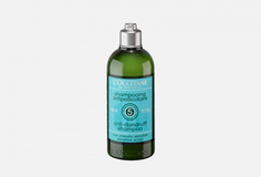Шампунь для волос L`Occitane