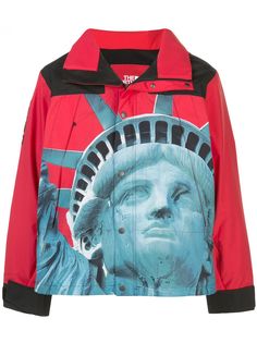 Supreme куртка из коллаборации с The North Face