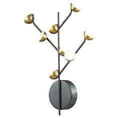 Настенный светильник Odeon