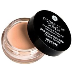 Absolute New York Консилер