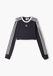 Свитшот adidas Originals