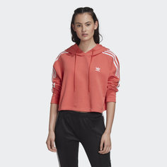 Укороченная худи adidas Originals