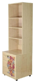 Стеллаж детский Дэми с тумбой и ящиками открытый с рисунком СМД-04-01