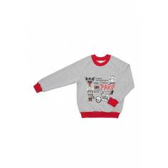 Толстовка Lucky Child, цв. серый, 74 р-р