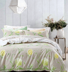 Постельное белье сатин Tango TS01-X47 1,5-сп 2 нав. 50х70+70х70