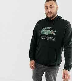 Черный свитшот с капюшоном и большим логотипом Lacoste