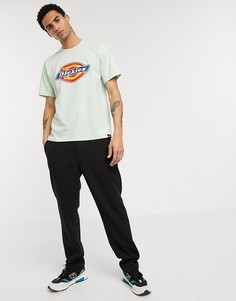 Футболка мятного цвета с логотипом Dickies-Зеленый