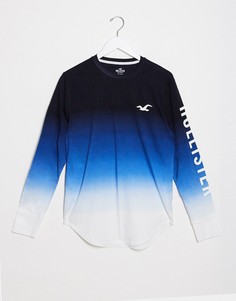 Синий лонгслив с логотипом омбре Hollister