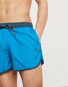 Синие шорты для плавания adidas-Синий