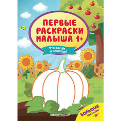 Что растет в огороде?: книжка с наклейками Феникс Премьер
