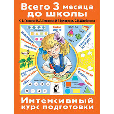 Интенсивный курс подготовки "Всего 3 месяца до школы" Издательство АСТ