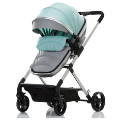 Коляска-трансформер Oley 508