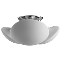 Люстра Arte Lamp Aqua