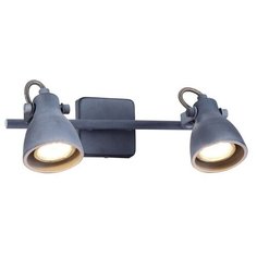 Спот Arte Lamp Gotto A9189AP-2GY