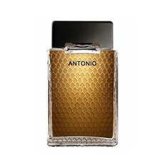Туалетная вода Antonio Banderas