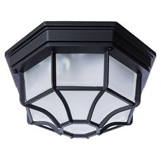 Люстра Arte Lamp Pegasus