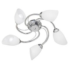 Люстра Vitaluce V3236 5PL E14