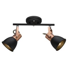 Спот Arte Lamp A1677PL-2BK