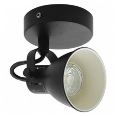 Спот Eglo Seras 2 98397