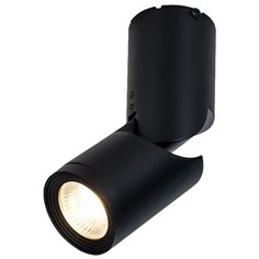 Спот MAYTONI Tube C019CW-01B