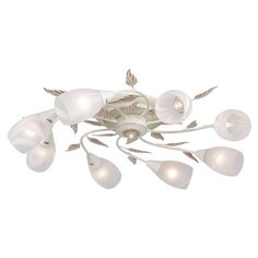 Люстра Favourite Plato 2444-8U